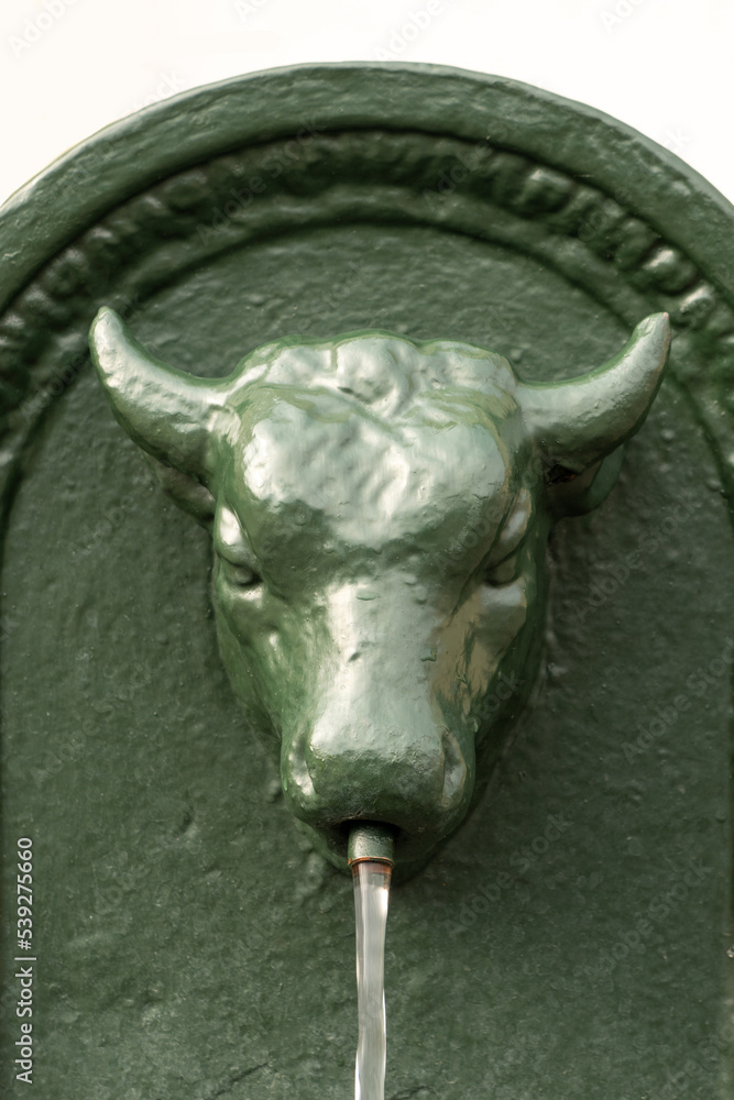 Traditional fountain of Turin town, Italy. The bull is the symbol of the town