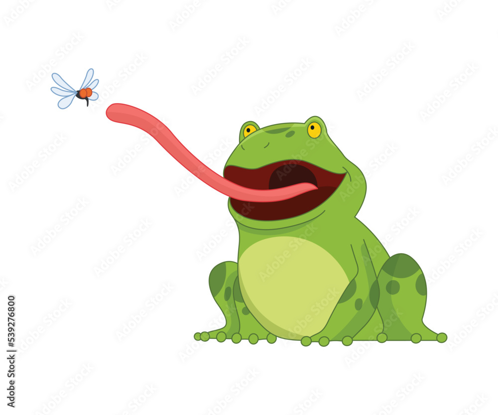 Fototapeta premium Cartoon frogs Funny cartoon frog. Little amphibia character sitting on white background. Adorable froggy catching fly with tongue