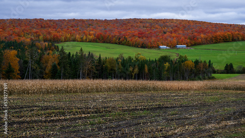 A valley with beautiful Quebec fall colors