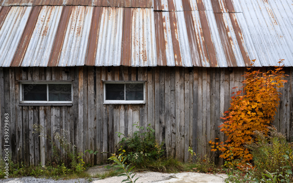 Naklejka premium An old shack metal roof
