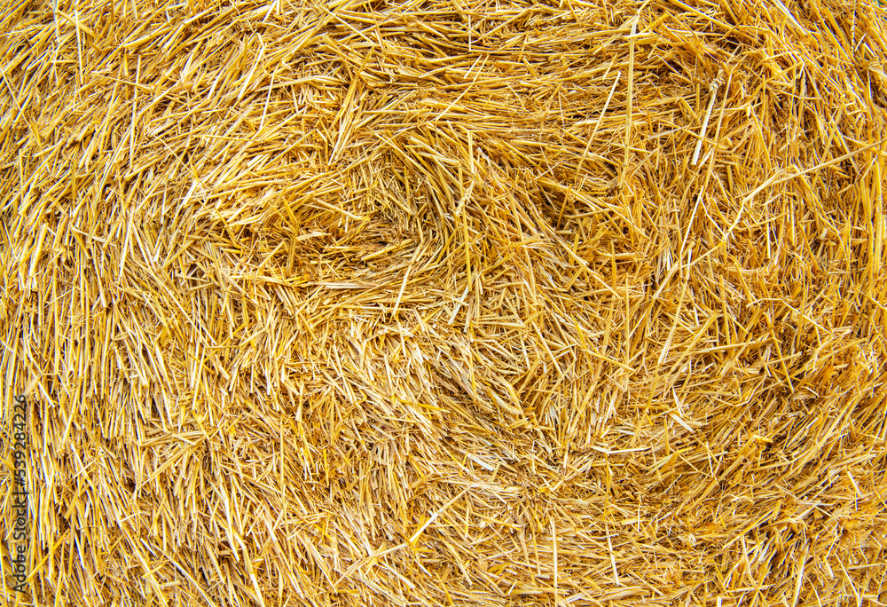Hay texture. Hay bales are stacked in large stacks. Harvesting in agriculture. Hay texture. Hay bales are stacked in large stacks. Harvesting in agriculture.