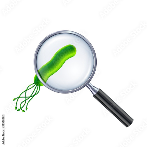 Vector illustration of green bacteria cell under the magnifying glass