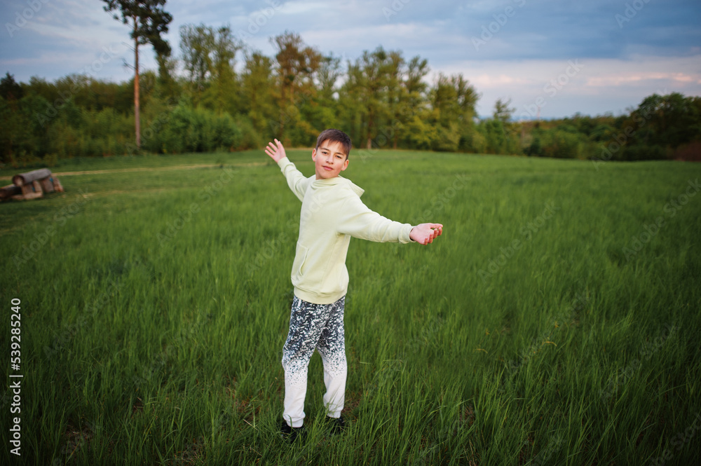 Boy having fun at meadow. Teenager stand in green grass. Boy having fun at meadow. Teenager stand in green grass.