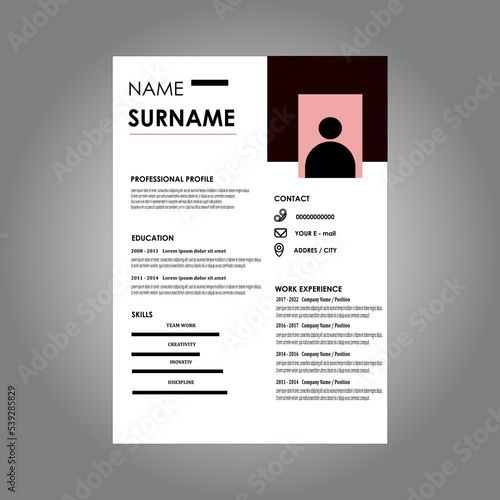 Corporate designer resume and cv vector. Resume template, elegant stylish design