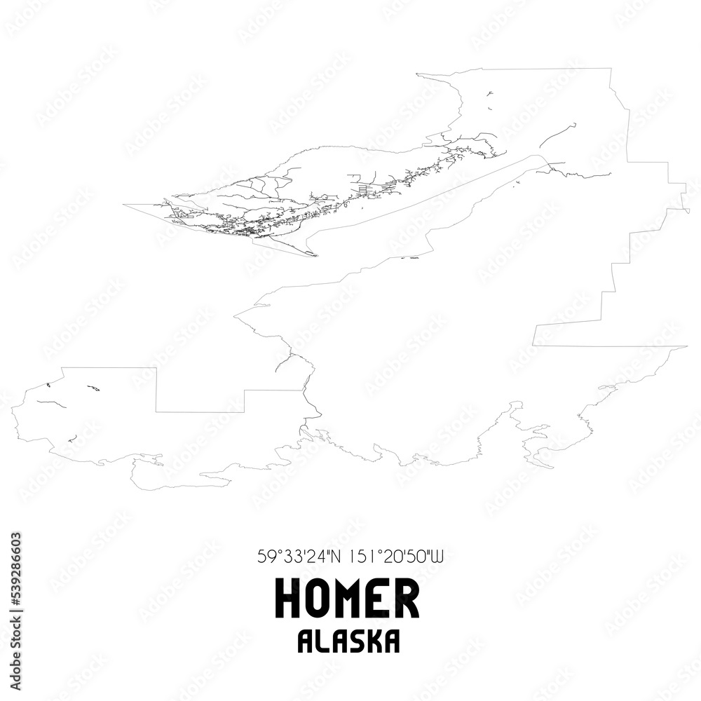 Homer Alaska. US street map with black and white lines.