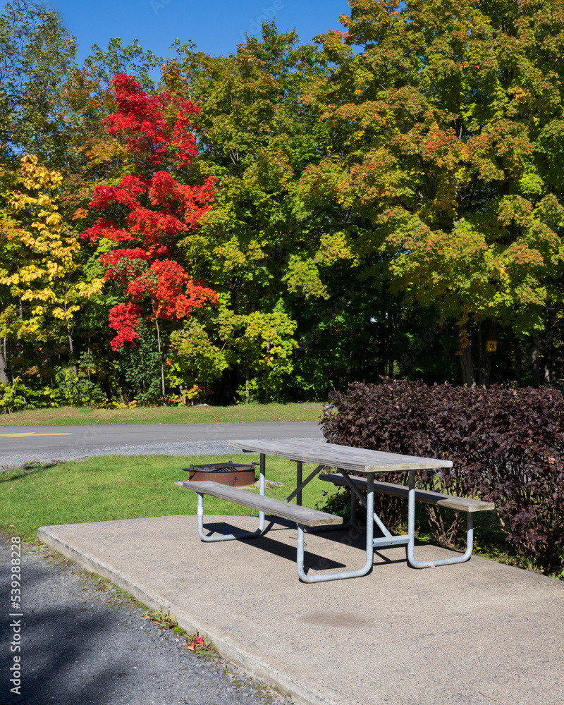 A campground picnic table in the fall colors