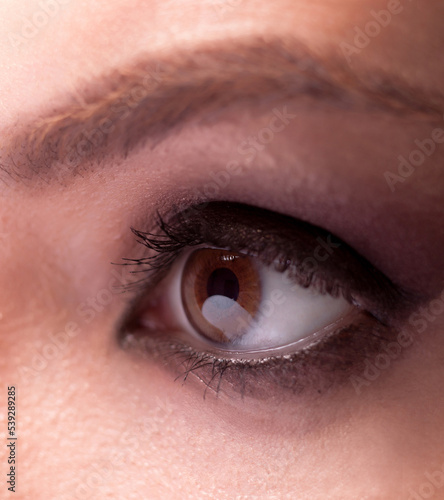 Beautiful Brown Eye
