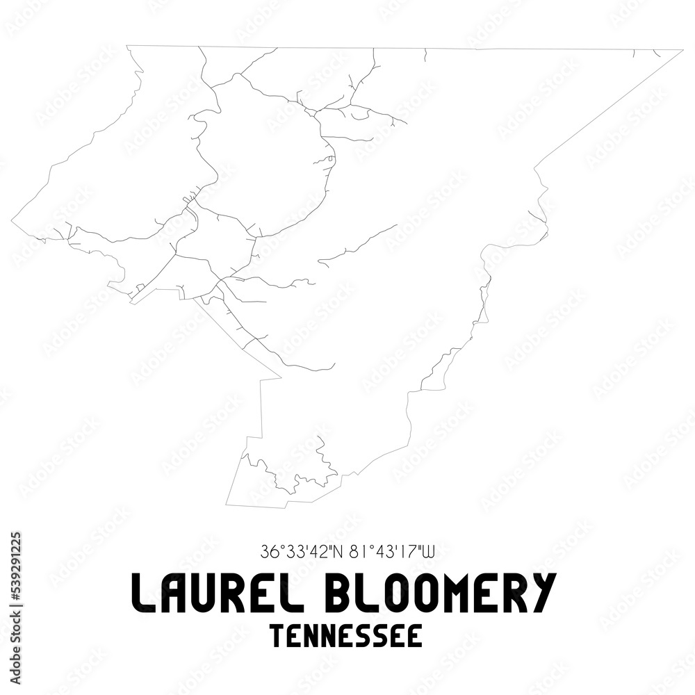 Laurel Bloomery Tennessee. US street map with black and white lines.