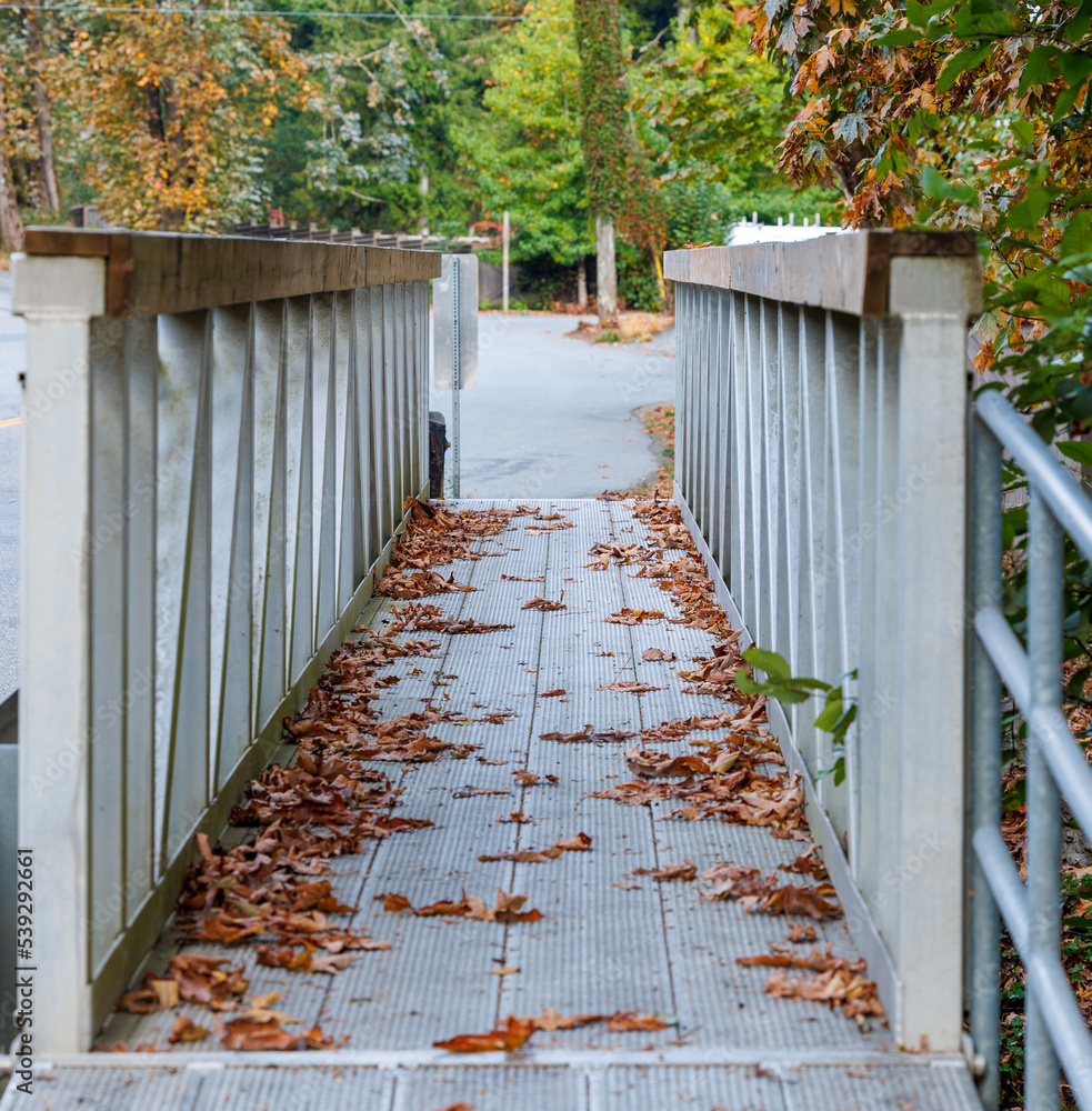 Autumn leaves along walk path bridge