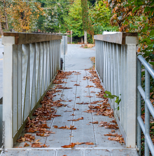 Autumn leaves along walk path bridge