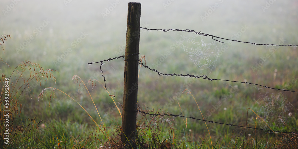 Closeup of wire fence in foggy morning