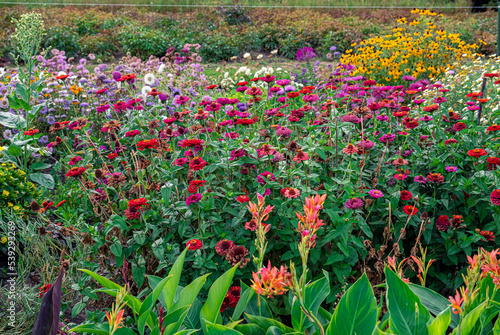 Flower bed with lots of different flowers. Bright and colorful flowers in the garden. Floral background