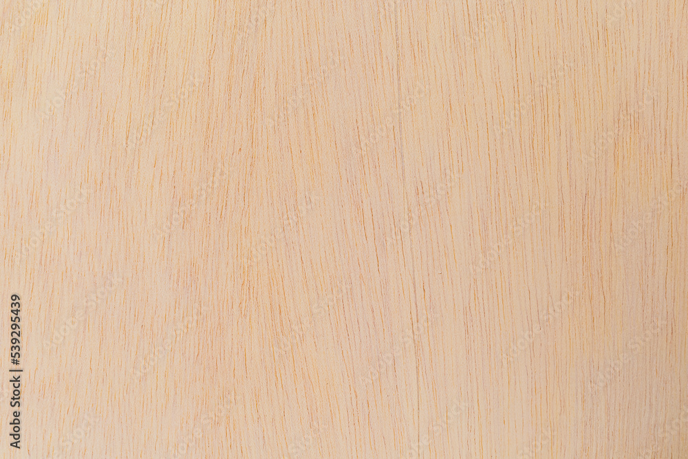 Light rough textured cut surface of an African tree. Wood background or blank for design