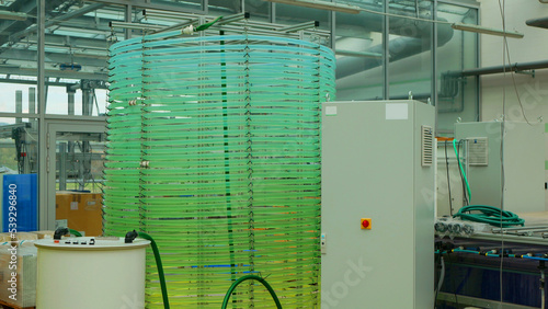 фотографія Algae science reactor tubular, research pipe hose modern laboratory bioreactor t