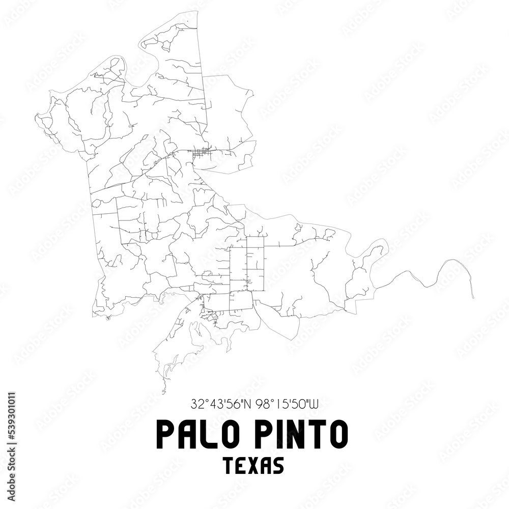 Palo Pinto Texas. US street map with black and white lines.