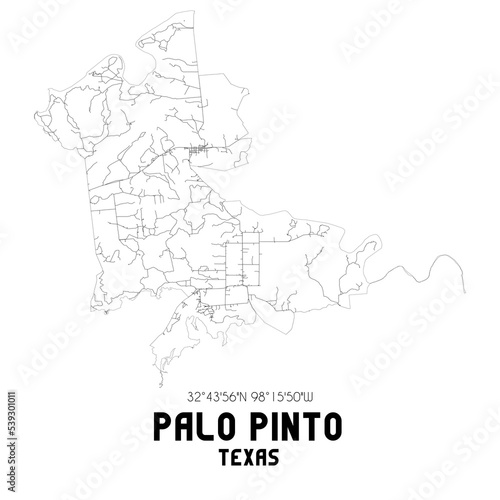 Palo Pinto Texas. US street map with black and white lines.