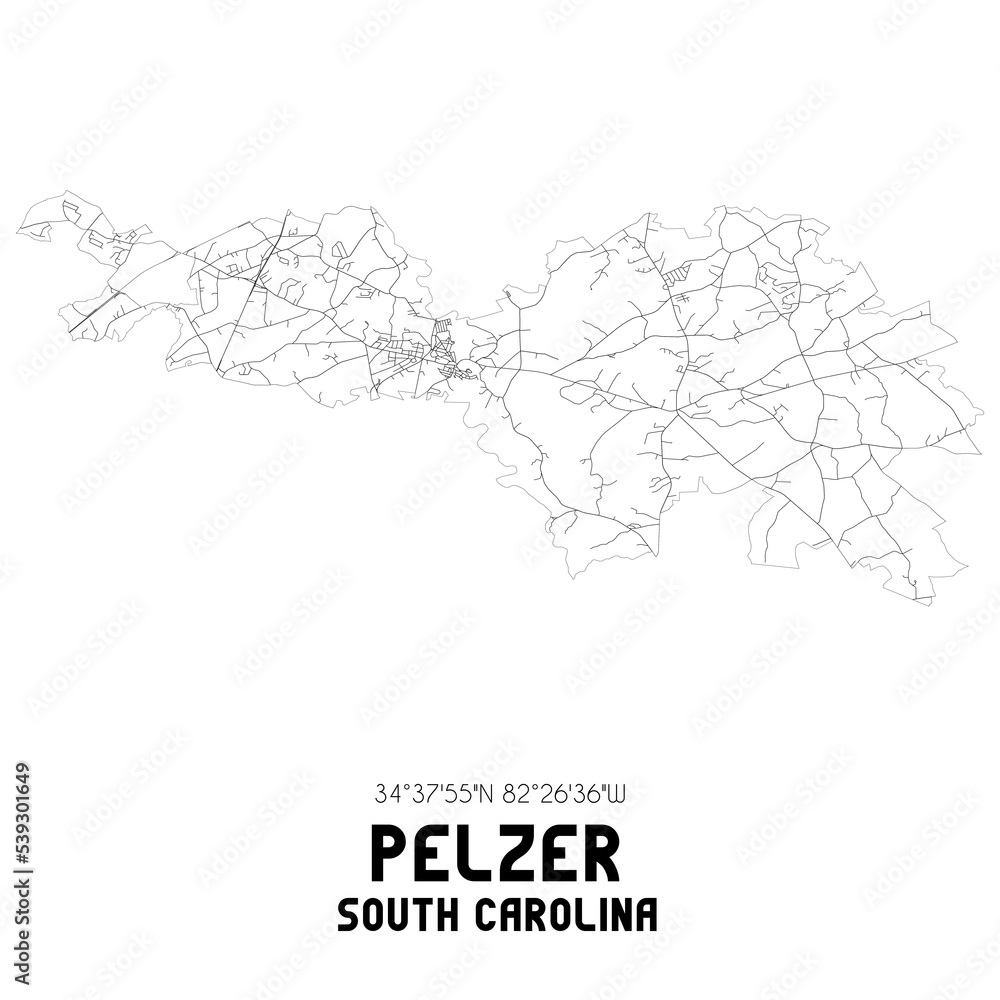 Pelzer South Carolina. US street map with black and white lines.
