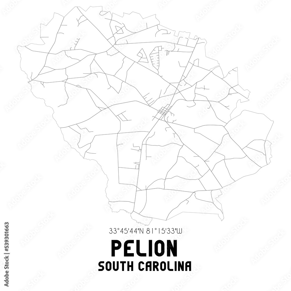 Pelion South Carolina. US street map with black and white lines. Pelion South Carolina. US street map with black and white lines.