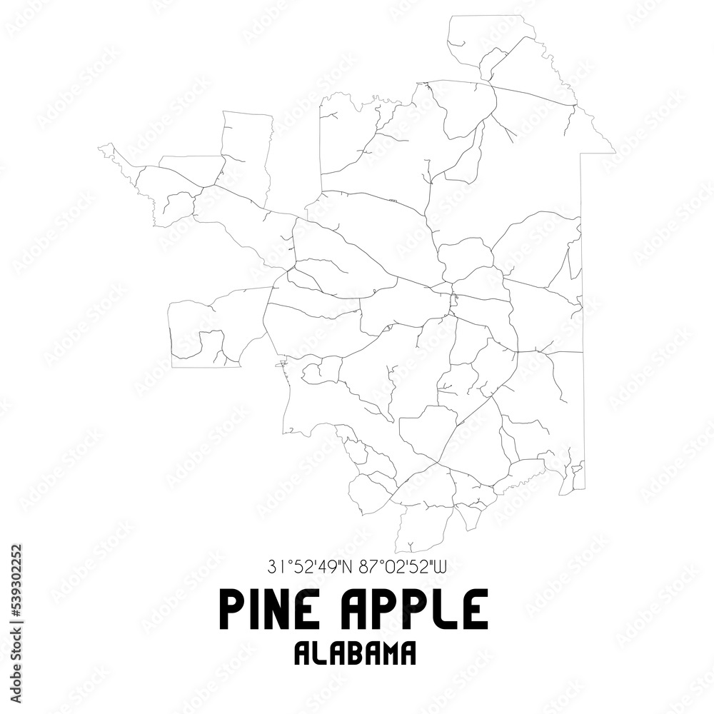 Pine Apple Alabama. US street map with black and white lines.