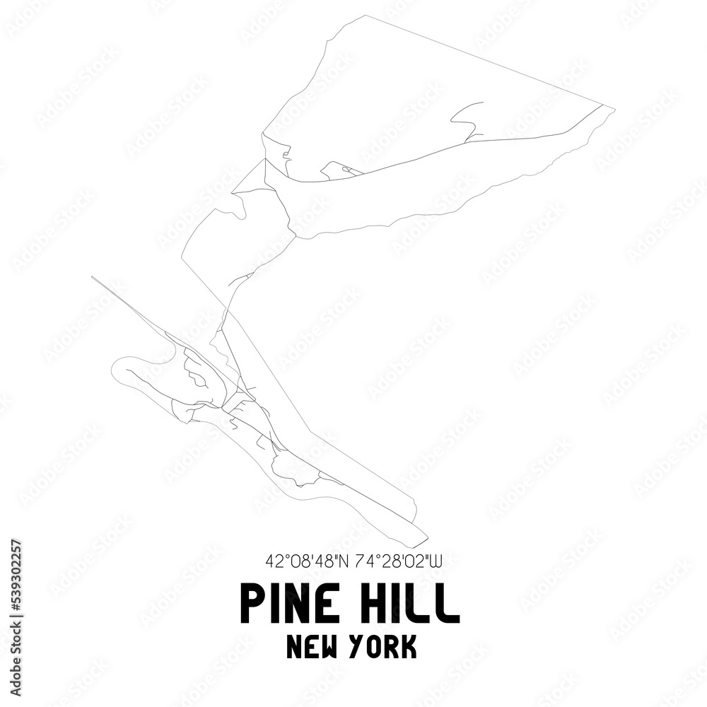 Pine Hill New York. US street map with black and white lines. Pine Hill New York. US street map with black and white lines.