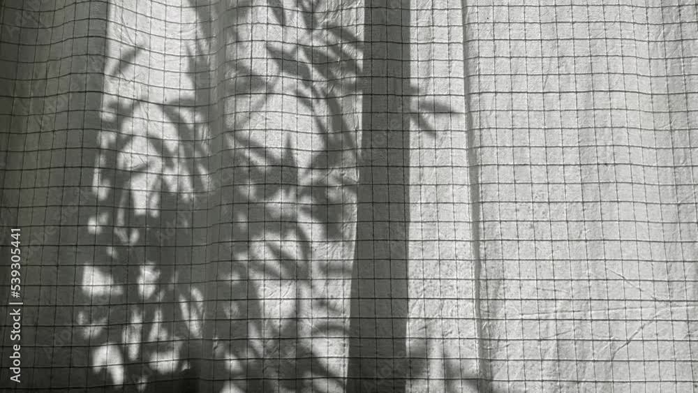 on the curtain you can see the shadow of the branches swaying in the wind. High quality FullHD footage on the curtain you can see the shadow of the branches swaying in the wind. High quality FullHD footage