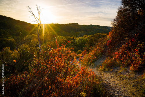 Stimmungsvolle Herbstfärbung entlang eines Weges durch Kalksteinberge. photo