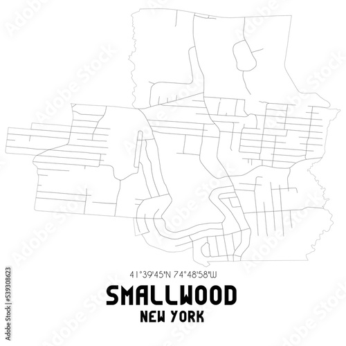 Smallwood New York. US street map with black and white lines.