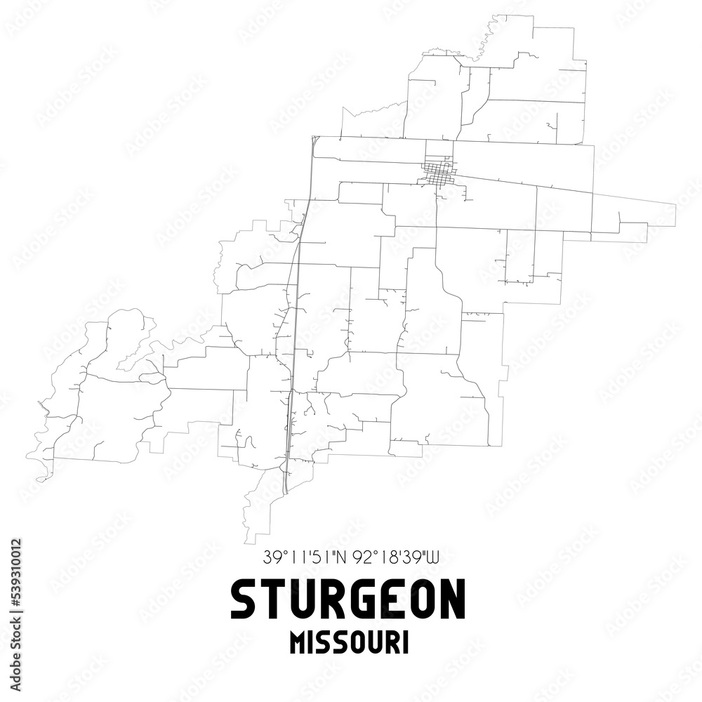 Sturgeon Missouri. US street map with black and white lines.