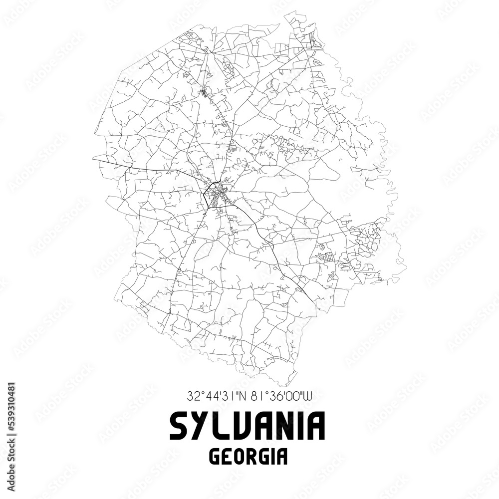 Sylvania US street map with black and white lines. Stock