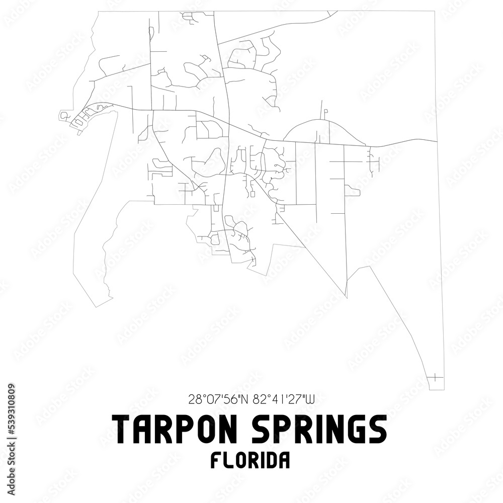 Tarpon Springs Florida. US street map with black and white lines.