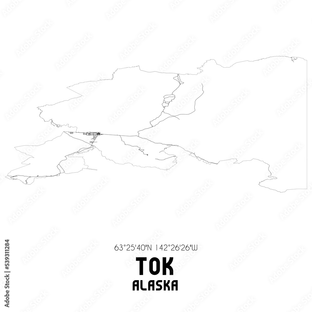 Tok Alaska. US street map with black and white lines.