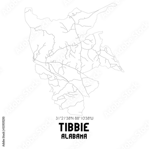 Tibbie Alabama. US street map with black and white lines.