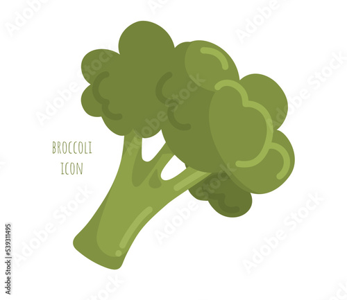 One big broccoli floret vector icon on white background. Decorative art element for packaging layout design. Cartoon diet food sign. Flat vegetable. Organic farming. Healthy nutrition. Plant logo.