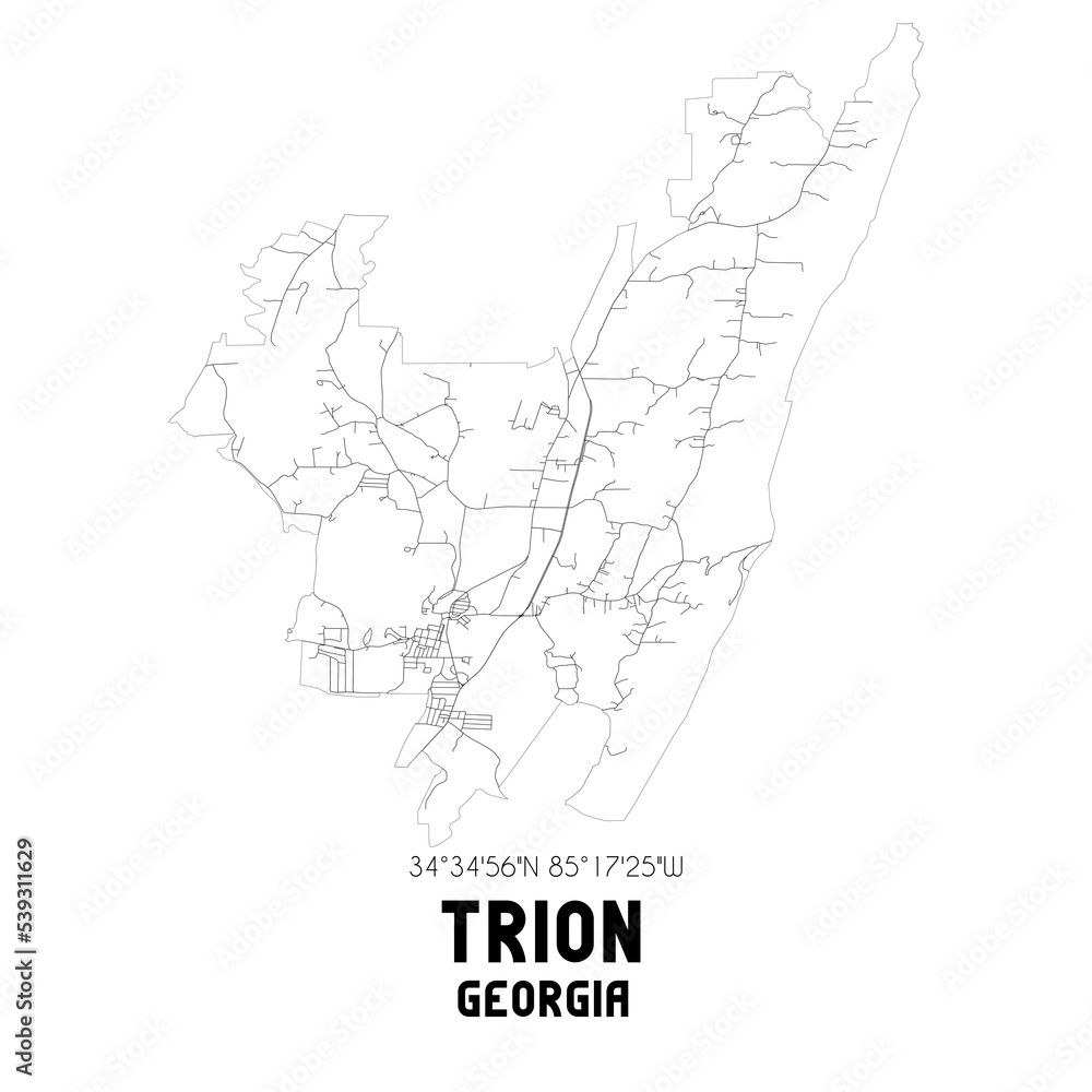 Trion Georgia. US street map with black and white lines. Trion Georgia. US street map with black and white lines.