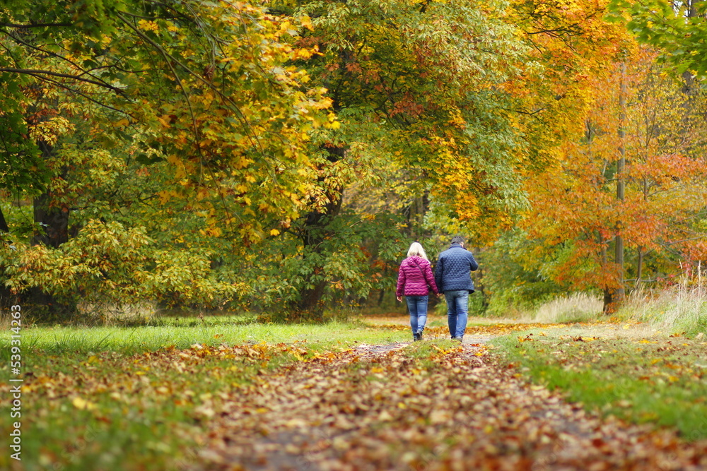 Lovers walking in the autumn park