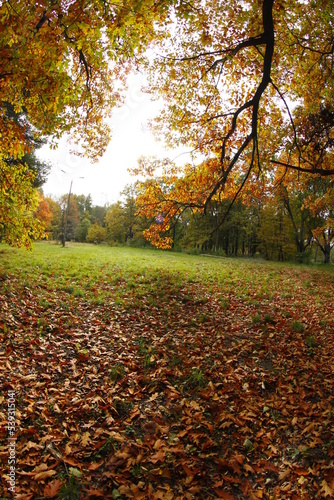 Park in Świerklaniec, Fall season