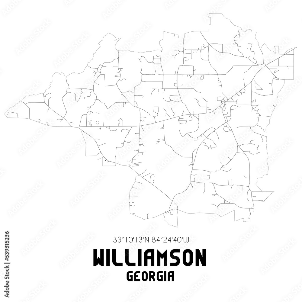 Williamson Georgia. US street map with black and white lines.