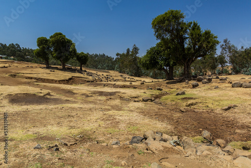 Rural landscape near Kosoye village, Ethiopia photo
