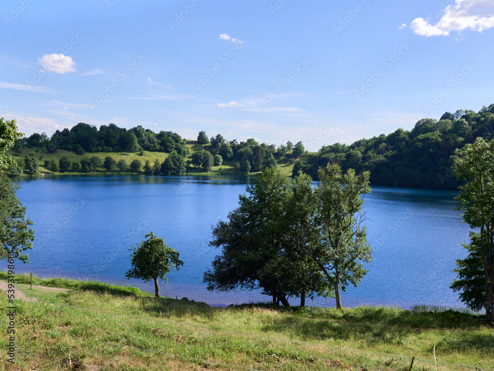 Obraz premium lake in the forest