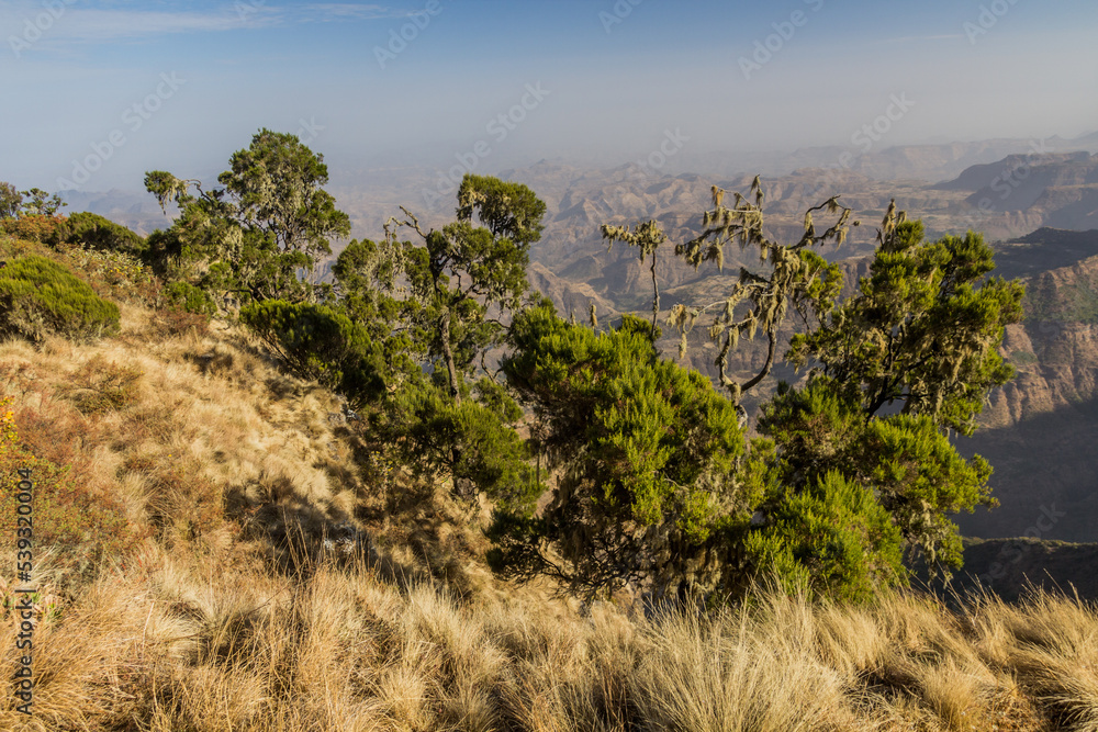 Landscape of Simien mountains, Ethiopia