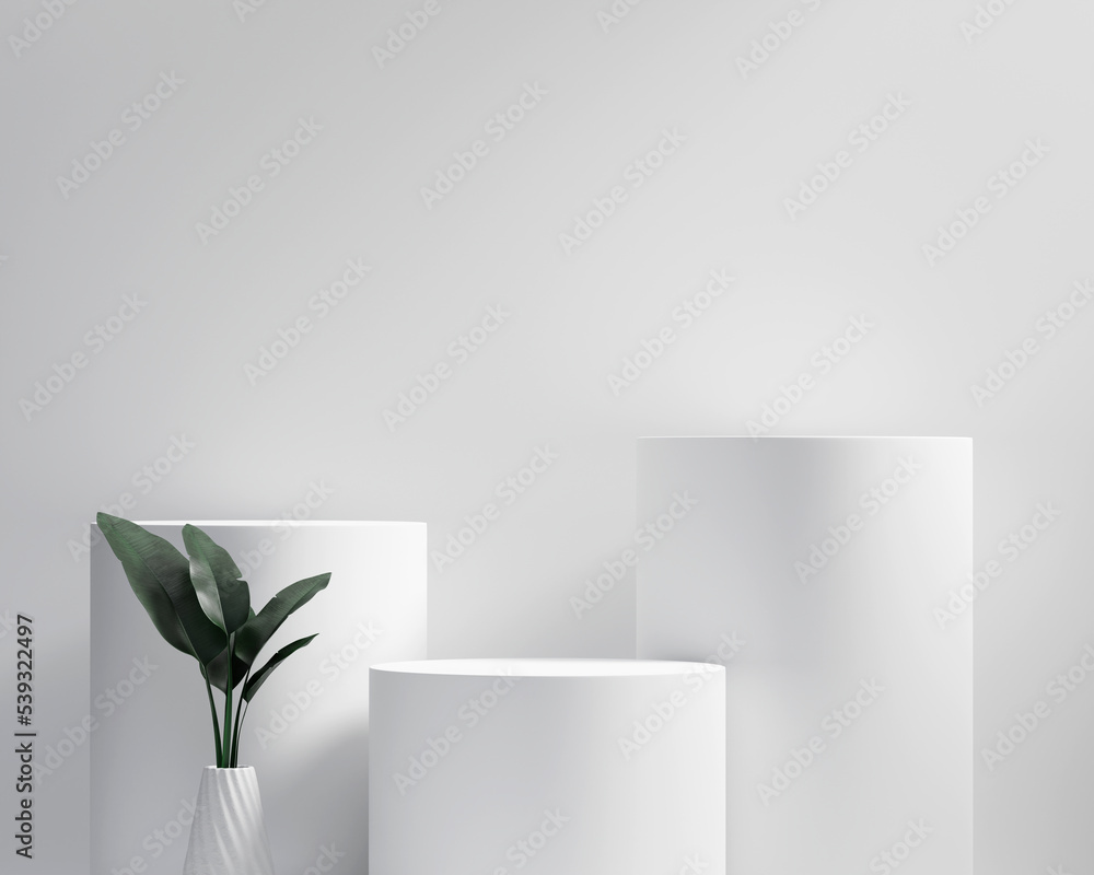 3D rendering platform podium with plant product presentation background 3D rendering platform podium with plant product presentation background