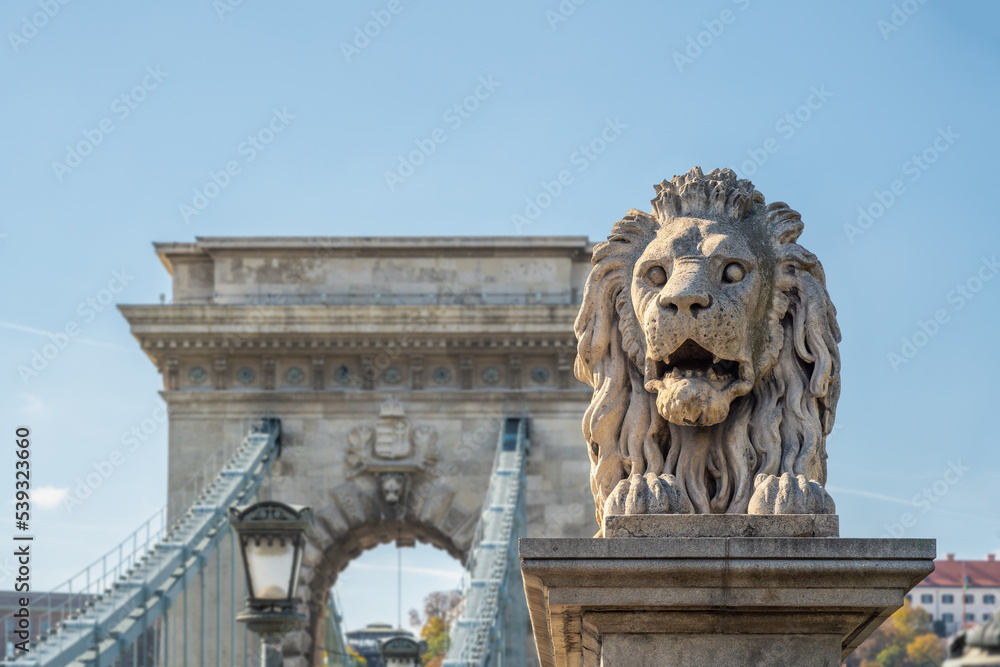 Fototapeta premium Lion Sculpture at Szechenyi Chain Bridge - Budapest, Hungary