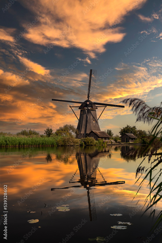 Obraz premium Dutch Mill