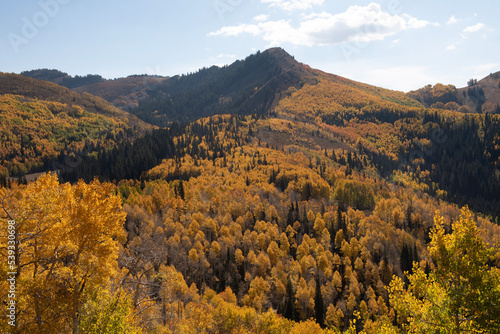 autumn in the mountains