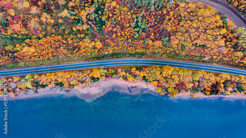 Fényképezés Drone view of Cape Breton Island, Autumn Colors in Forest, Forest Drone view, Co