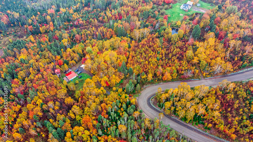 Photo Drone view of Cape Breton Island, Autumn Colors in Forest, Forest Drone view, Co