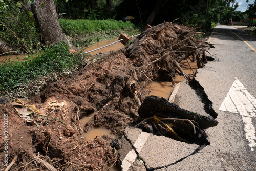 Fallen trees uprooted and roads asphalt pavement destroyed after water floods.