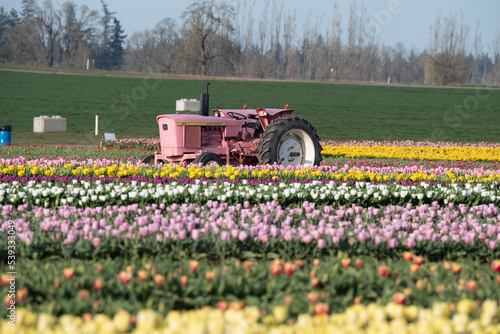 tractor in a field