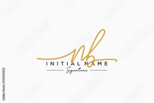 Initial NB signature logo template vector. Hand drawn Calligraphy lettering Vector illustration.