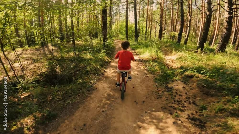 Sports boy kid speed riding on mountain bike forest route with sunny natural trees back view Sports boy kid speed riding on mountain bike forest route with sunny natural trees back view